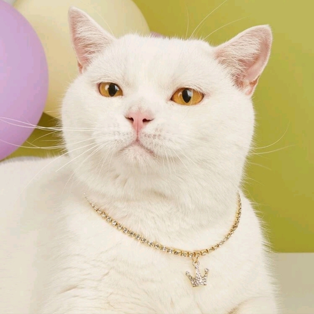 Rhinestone Crown Pendant Pet Necklace